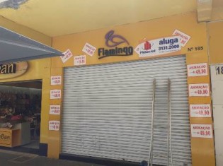 FOTO PLACA
