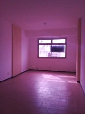 SALA PINTADA E PISO LIMPO PELA PROPRIETÁRIA P/ ENT