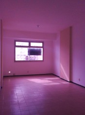 SALA PINTADA E PISO LIMPO PELA PROPRIETÁRIA P/ ENT