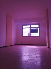 SALA PINTADA E PISO LIMPO PELA PROPRIETÁRIA P/ ENT
