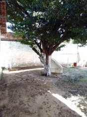 QUINTAL