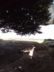 QUINTAL ANGULO II