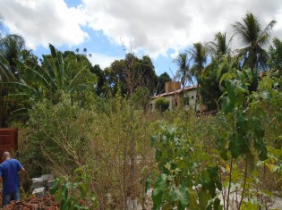 TERRENO ANGULO III