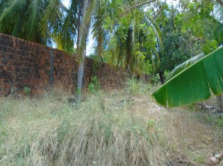 TERRENO ANGULO IV