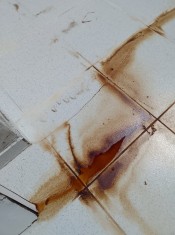 ÁREA E LAGE ( ACÚMULO D´ÁGUA / REJUNTES GASTOS / P