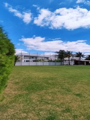 CAMPO ANGULO IV