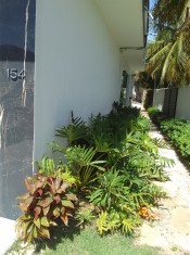 JARDIM LATERAL ( PROVOCANDO INFILTRAÇÃO PARA A SAL