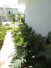 JARDIM LATERAL ( PROVOCANDO INFILTRAÇÃO PARA A SAL