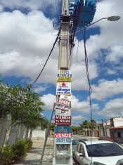 FOTO PLACA