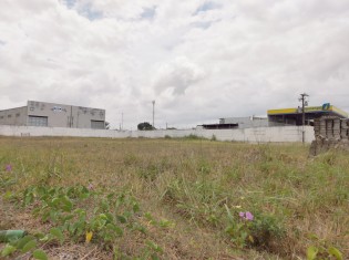 TERRENO ANGULO II