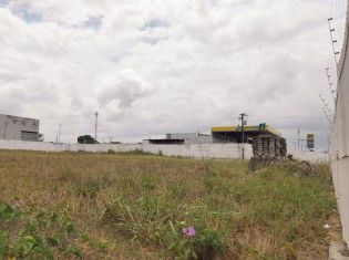 TERRENO ANGULO III