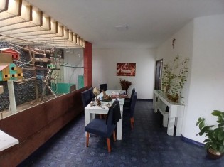 SALA ANGULO III