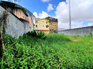 TERRENO ANGULO I