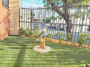 JARDIM