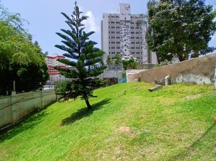 JARDIM