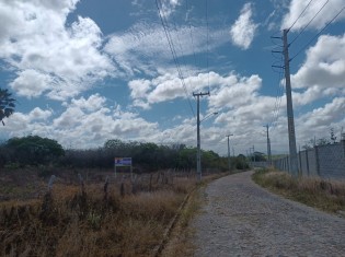 TERRENO