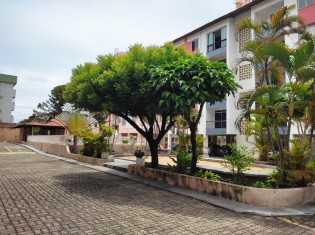 ÁREA VERDE