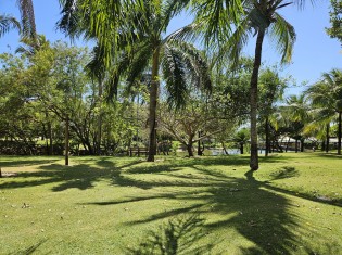 ÁREA VERDE E LAGO