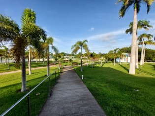 ÁREA VERDE