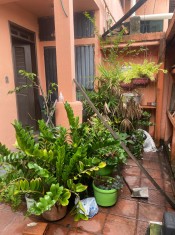JARDIM