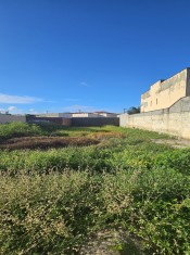 TERRENO (ÂNGULO II)