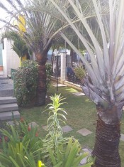 JARDIM
