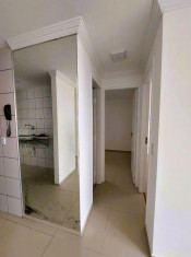 &Aacute;REA DE CIRCULA&Ccedil;&Atilde;O