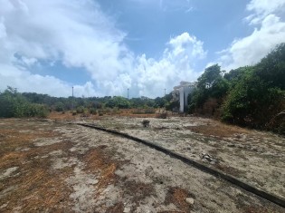 TERRENO (&Acirc;NGULO II)