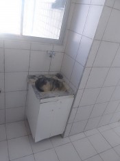 &Aacute;REA DE SERVI&Ccedil;O