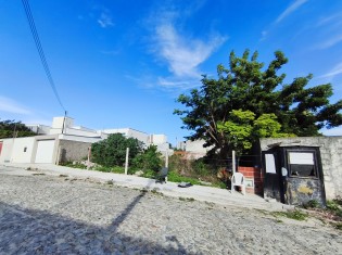 TERRENO (&Acirc;NGULO II)