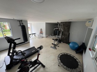 ACADEMIA (&Acirc;NGULO III)