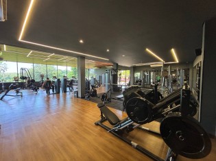 ACADEMIA (&Acirc;NGULO II)