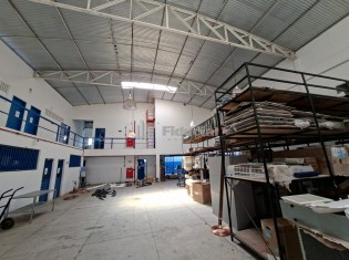 GALP&Atilde;O (&Acirc;NGULO II)