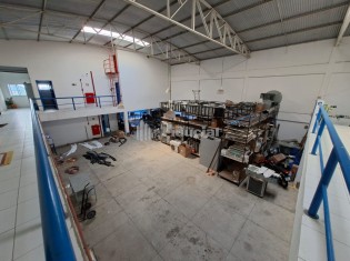 GALP&Atilde;O (&Acirc;NGULO IV)