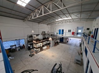 GALP&Atilde;O (&Acirc;NGULO V)