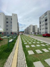 &Aacute;REA INTERNA