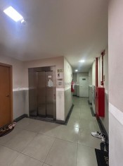 HALL ELEVADORES