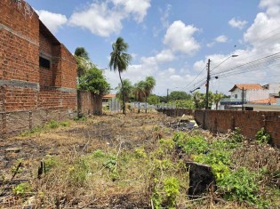 TERRENO PARTE INTERNA